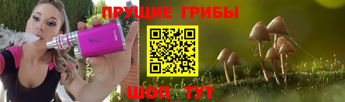 Галлюциногенные грибы мицелий  Псилоцибиновые грибы GOLDEN TEACHER  Вход с VPN  Мытищи 